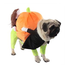 The Best Halloween Dog Costumes of 2026 (And How to Choose the Right Size)